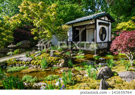 Panorama of Japanese garden in clude small pavilion in Japane Panorama of Japanese garden in clude small pavilion in Japane 141639764