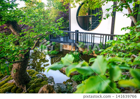 Panorama of Japanese garden with pond and part of small Japanese pavilion at Che3lsea Flower Sho Panorama of Japanese garden with pond and part of small Japanese pavilion at Che3lsea Flower Sho 141639766