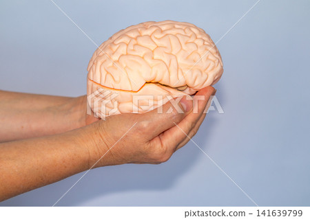 Hands holding a realistic brain model representing neurology, health care, cognitive science and education Hands holding a realistic brain model representing neurology, health care, cognitive science and education 141639799
