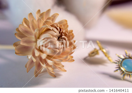 Dried beige flower in focus beside elegant jewelry on a soft pastel surface, creating a delicate still life composition with natural texture, romantic mood and refined styling decor Dried beige flower in focus beside elegant jewelry on a soft pastel surface, creating a delicate still life composition with natural texture, romantic mood and refined styling decor 141640411