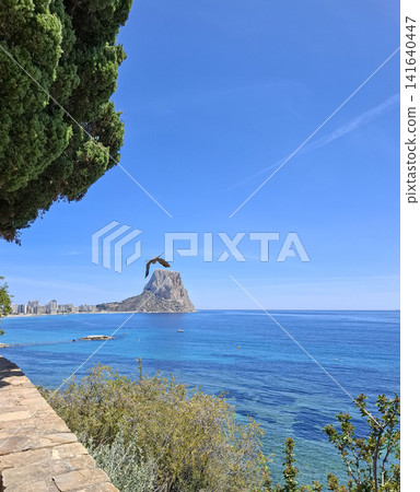 Bird flying above Penon de Ifach in Calpe with coastal walkway and clear blue sky Bird flying above Penon de Ifach in Calpe with coastal walkway and clear blue sky 141640447