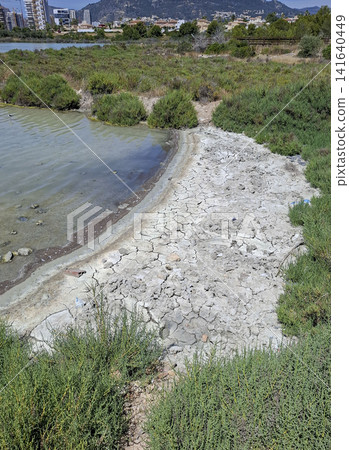 Dried mud shoreline next to a salt lagoon with green plants and distant town buildings 141640449