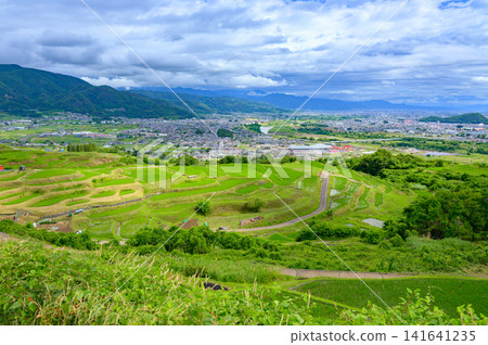 The terraced rice fields of Obasute in summer [Chikuma City] 141641235