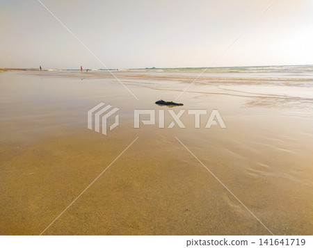 A serene, goldenhour seascape featuring a vast sandy beach at low tide. The wet, reflective shore evokes peace and solitude. A minimalist coastal landscape perfect for travel and tranquility. A serene, goldenhour seascape featuring a vast sandy beach at low tide. The wet, reflective shore evokes peace and solitude. A minimalist coastal landscape perfect for travel and tranquility. 141641719