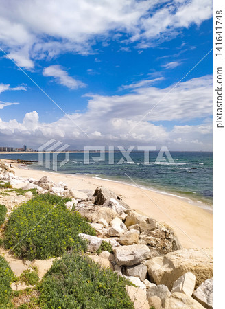 A peaceful, sunny coastal landscape with no people, showcasing a sandy beach, green shrubs amongst white rocks, and a turquoise ocean under a bright blue cloudy sky. Ideal for travel concepts. A peaceful, sunny coastal landscape with no people, showcasing a sandy beach, green shrubs amongst white rocks, and a turquoise ocean under a bright blue cloudy sky. Ideal for travel concepts. 141641748