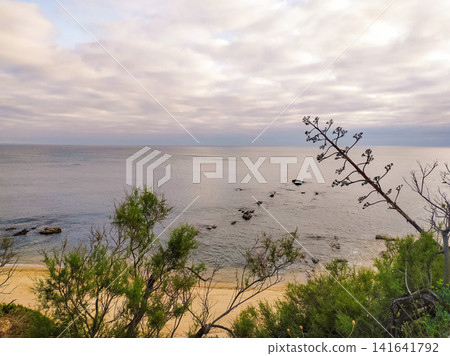 A serene coastal landscape at twilight, capturing a tranquil beach with rocky waters and wild greenery. The scene, with no people, evokes peace, contemplation, and natural, timeless beauty. A serene coastal landscape at twilight, capturing a tranquil beach with rocky waters and wild greenery. The scene, with no people, evokes peace, contemplation, and natural, timeless beauty. 141641792