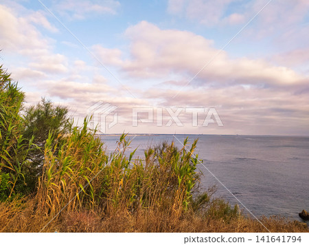 A serene coastal landscape at golden hour featuring tall wild grasses overlooking the calm sea. This scenic, tranquil view has no people and evokes peace, perfect for nature and travel themes. A serene coastal landscape at golden hour featuring tall wild grasses overlooking the calm sea. This scenic, tranquil view has no people and evokes peace, perfect for nature and travel themes. 141641794