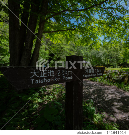 一條山間小路旁,綠樹環繞,立著一塊木製路標(上高地、大正池和河童橋)。 一條山間小路旁,綠樹環繞,立著一塊木製路標(上高地、大正池和河童橋)。 141641914
