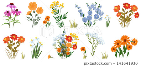 A large collection of garden and wildflowers: echinacea, marigolds, tansy, chicory, zinnias, daisies, phlox, and calendula. The set is complemented by grass, leaves, buds, and a large festive bouquet A large collection of garden and wildflowers: echinacea, marigolds, tansy, chicory, zinnias, daisies, phlox, and calendula. The set is complemented by grass, leaves, buds, and a large festive bouquet 141641930
