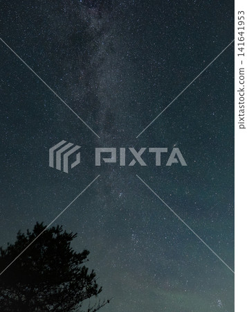 銀河和星空的垂直構圖(兵庫縣富峰高原) 銀河和星空的垂直構圖(兵庫縣富峰高原) 141641953