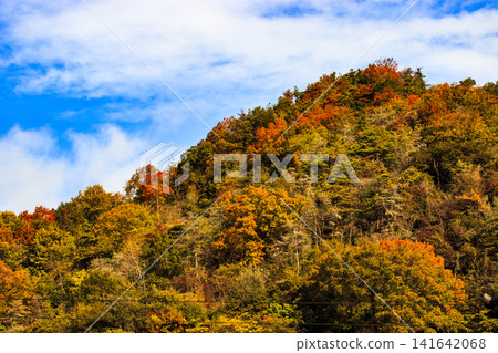 A mountain with autumn leaves and a blue sky A mountain with autumn leaves and a blue sky 141642068