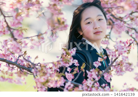 一名身穿校服的女學生站在盛開的櫻花樹下（新學年、入學典禮、畢業典禮、春季主題）。 141642139