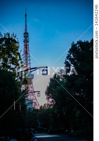 Tokyo Tower stands tall at the end of a tree-lined street (Tokyo, sunset) Tokyo Tower stands tall at the end of a tree-lined street (Tokyo, sunset) 141642246