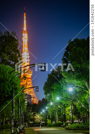 東京鐵塔在夜空中閃耀,綠樹成蔭的街道燈火通明(東京) 東京鐵塔在夜空中閃耀,綠樹成蔭的街道燈火通明(東京) 141642256