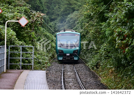 一列觀光列車沿著綠樹環繞的鐵軌行駛（五野線－東北鐵路之旅） 141642372