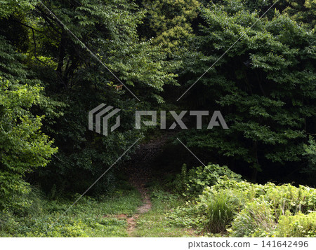 A dark mountain trail leading deep into the mountains A dark mountain trail leading deep into the mountains 141642496