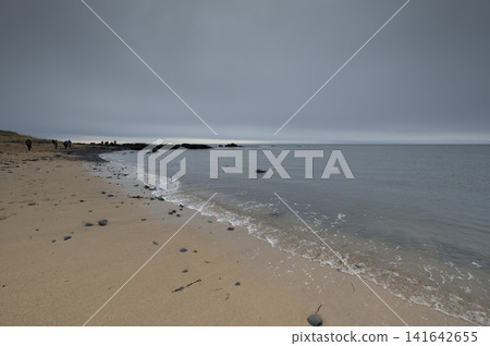 海浪輕輕拍打著金色的沙灘(冰島斯奈山半島) 海浪輕輕拍打著金色的沙灘(冰島斯奈山半島) 141642655