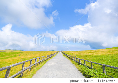 Summer scenery of walking trails and vast pastures on the Utsukushigahara Plateau (Nagano Prefecture) Summer scenery of walking trails and vast pastures on the Utsukushigahara Plateau (Nagano Prefecture) 141642667