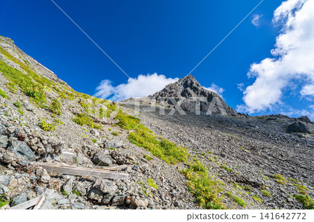 【山景】初秋時節從矢澤冰鬥眺望的矢嶽山【長野縣】 【山景】初秋時節從矢澤冰鬥眺望的矢嶽山【長野縣】 141642772