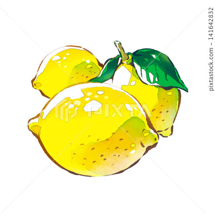 檸檬/水果/水彩風格/插畫素材/PNG素材 檸檬/水果/水彩風格/插畫素材/PNG素材 141642832