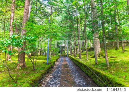 The Old Karuizawa Villa Area: The Valley of Happiness, the cobblestone path loved by Yasunari Kawabata The Old Karuizawa Villa Area: The Valley of Happiness, the cobblestone path loved by Yasunari Kawabata 141642843