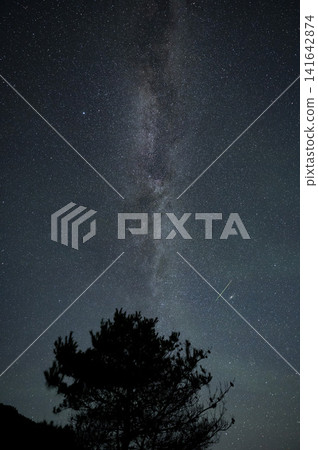 A single shooting star streaking across the Milky Way, silhouetted against a pine tree (Tomine Plateau, Hyogo Prefecture) A single shooting star streaking across the Milky Way, silhouetted against a pine tree (Tomine Plateau, Hyogo Prefecture) 141642874
