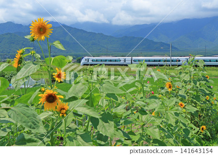 大糸線夏季特快梓 大糸線夏季特快梓 141643154