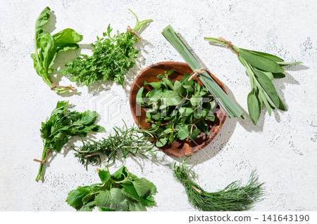 各種草藥 各種草藥 141643190