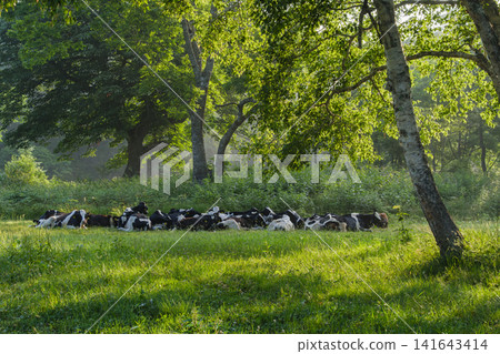 Dawn of a ranch Dawn of a ranch 141643414