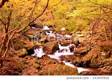 The beautiful scenery of Akashi Valley with its autumn foliage. The beautiful scenery of Akashi Valley with its autumn foliage. 141643692