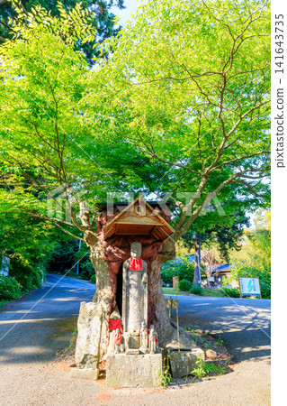 新潟縣佐渡市佐渡島虎尻山蓮華寶寺初夏景色 新潟縣佐渡市佐渡島虎尻山蓮華寶寺初夏景色 141643735