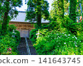 Early summer at Rengehoji Temple on Mount Kohiei, Sado Island, Sado City, Niigata Prefecture. Early summer at Rengehoji Temple on Mount Kohiei, Sado Island, Sado City, Niigata Prefecture. 141643745