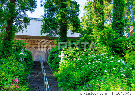 Early summer at Rengehoji Temple on Mount Kohiei, Sado Island, Sado City, Niigata Prefecture. Early summer at Rengehoji Temple on Mount Kohiei, Sado Island, Sado City, Niigata Prefecture. 141643745