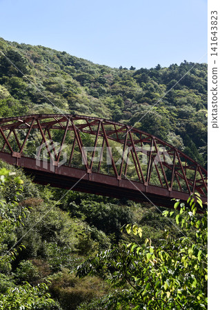 [Shinshiro] A rusty iron bridge in the mountains 141643823