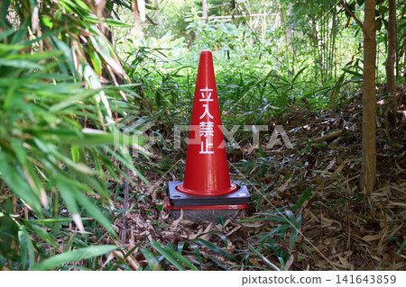 A red traffic cone with "No Entry" written on it is placed in a grassy area. A red traffic cone with "No Entry" written on it is placed in a grassy area. 141643859