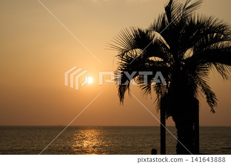 [Minamichita] Sunset over the summer sea and the silhouette of palm trees 141643888