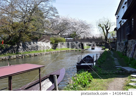 滋賀縣近江八幡市的八幡堀運河、明治橋、盛開的櫻花以及八幡堀長廊 滋賀縣近江八幡市的八幡堀運河、明治橋、盛開的櫻花以及八幡堀長廊 141644121