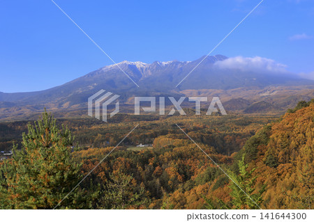 甲斐田高原和禦嶽山的秋葉美景 甲斐田高原和禦嶽山的秋葉美景 141644300