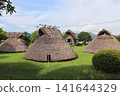 Pit dwellings at the Habu archaeological site 141644329