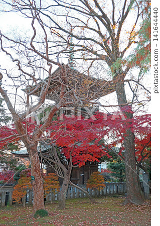 Dojo Temple (Nerima) Dojo Temple (Nerima) 141644440
