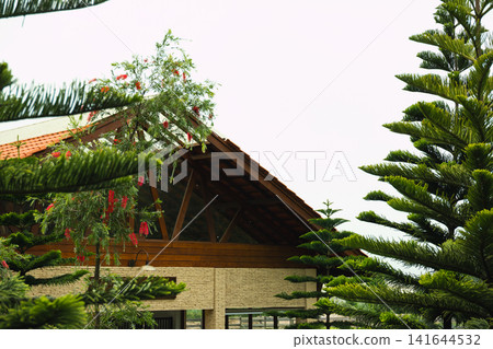 Charming ranch house nestled among lush green trees 141644532