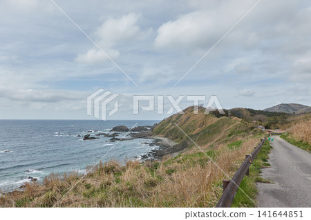 淡島、沿海公路、礁石 淡島、沿海公路、礁石 141644851