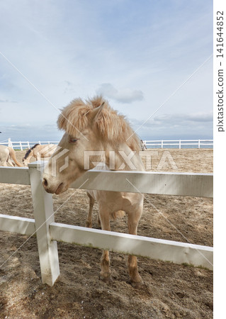 Awashima Horse Pasture Awashima Horse Pasture 141644852
