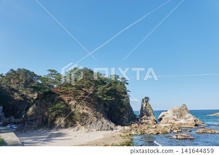 日本海、岩石海岸、松樹林 日本海、岩石海岸、松樹林 141644859
