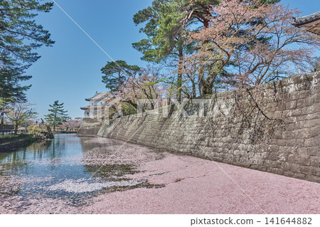 柴田城:護城河與石牆,花筏 柴田城:護城河與石牆,花筏 141644882