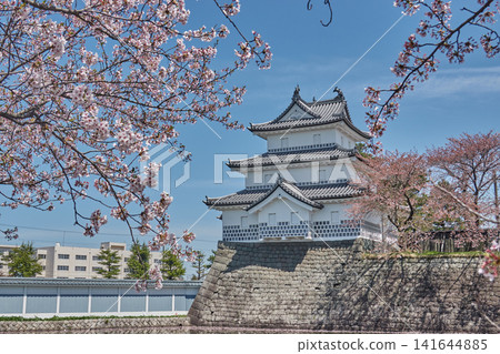 柴田城、三重塔樓、櫻花和藍天 141644885