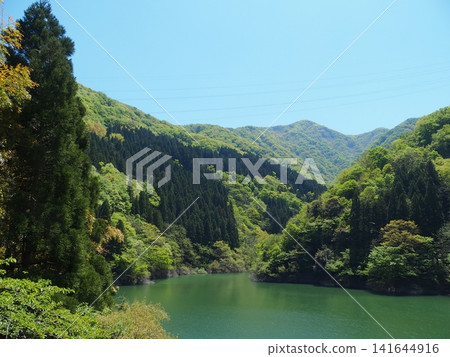 水壩湖、鬱鬱蔥蔥的綠地、山谷 水壩湖、鬱鬱蔥蔥的綠地、山谷 141644916