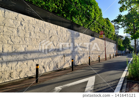 A quiet, upscale residential area around Shoto in Shibuya, Tokyo. 141645121