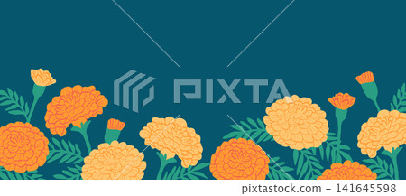 Marigold Background Marigold Background 141645598