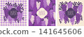 紫藤花背景設計（方形） 141645606